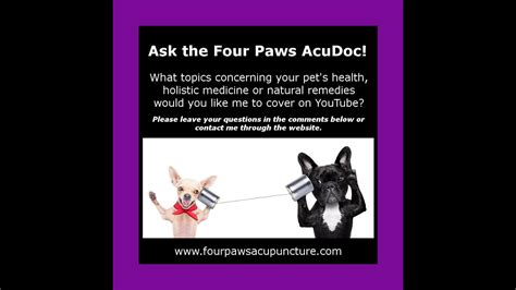 4 Paws Natural Therapies